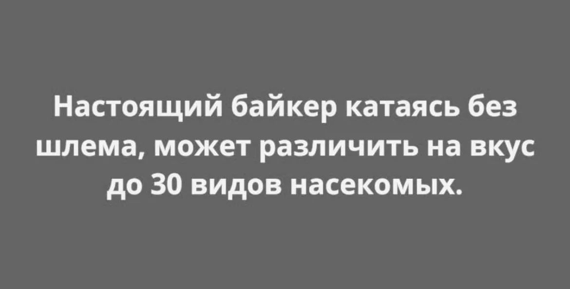 Настоящий байкер катаясь без шлема может различить на вкус до 30 видов насекомых