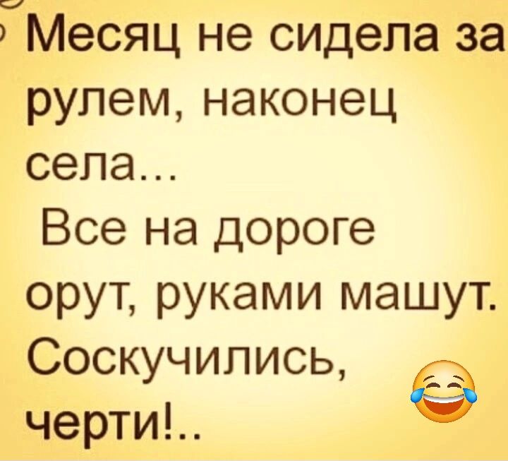 ТМесяц не сидела за рулем наконец села Все на дороге орут руками машут Соскучипись черти