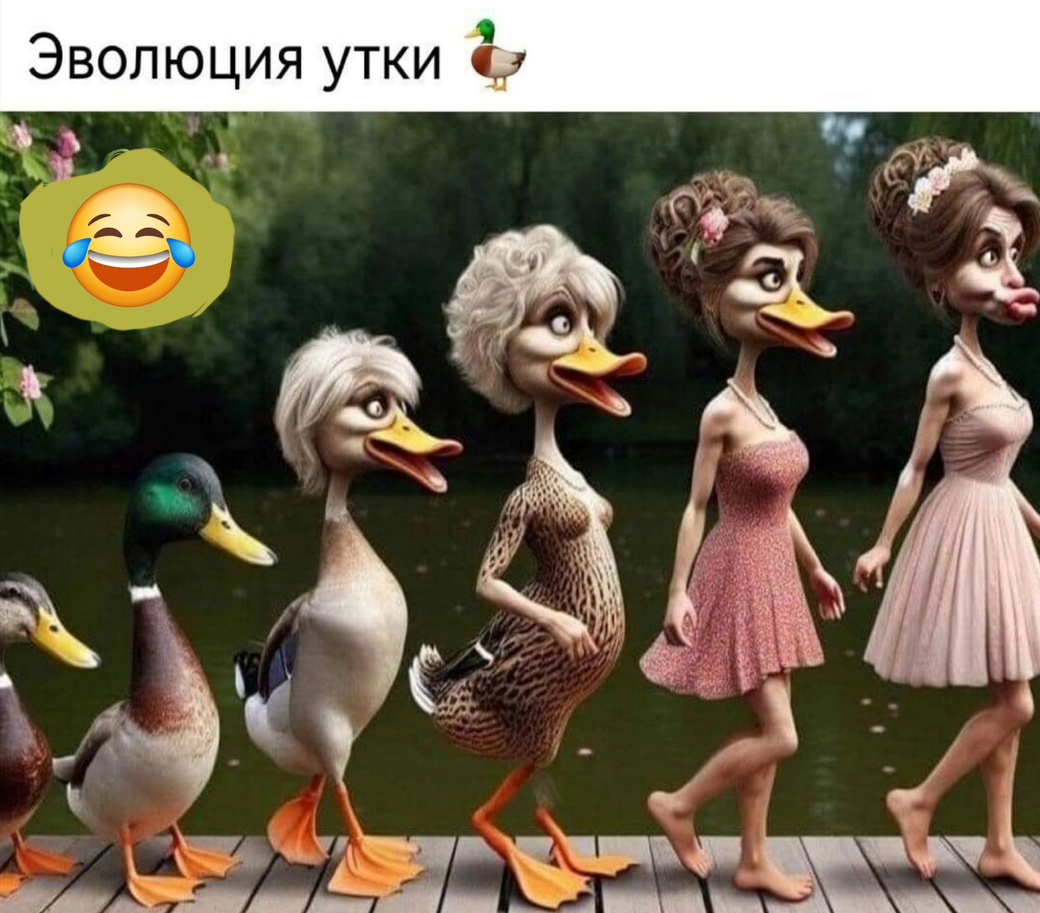 Эволюция утки Ё 1 А Ж і чч чці и Ц __ _