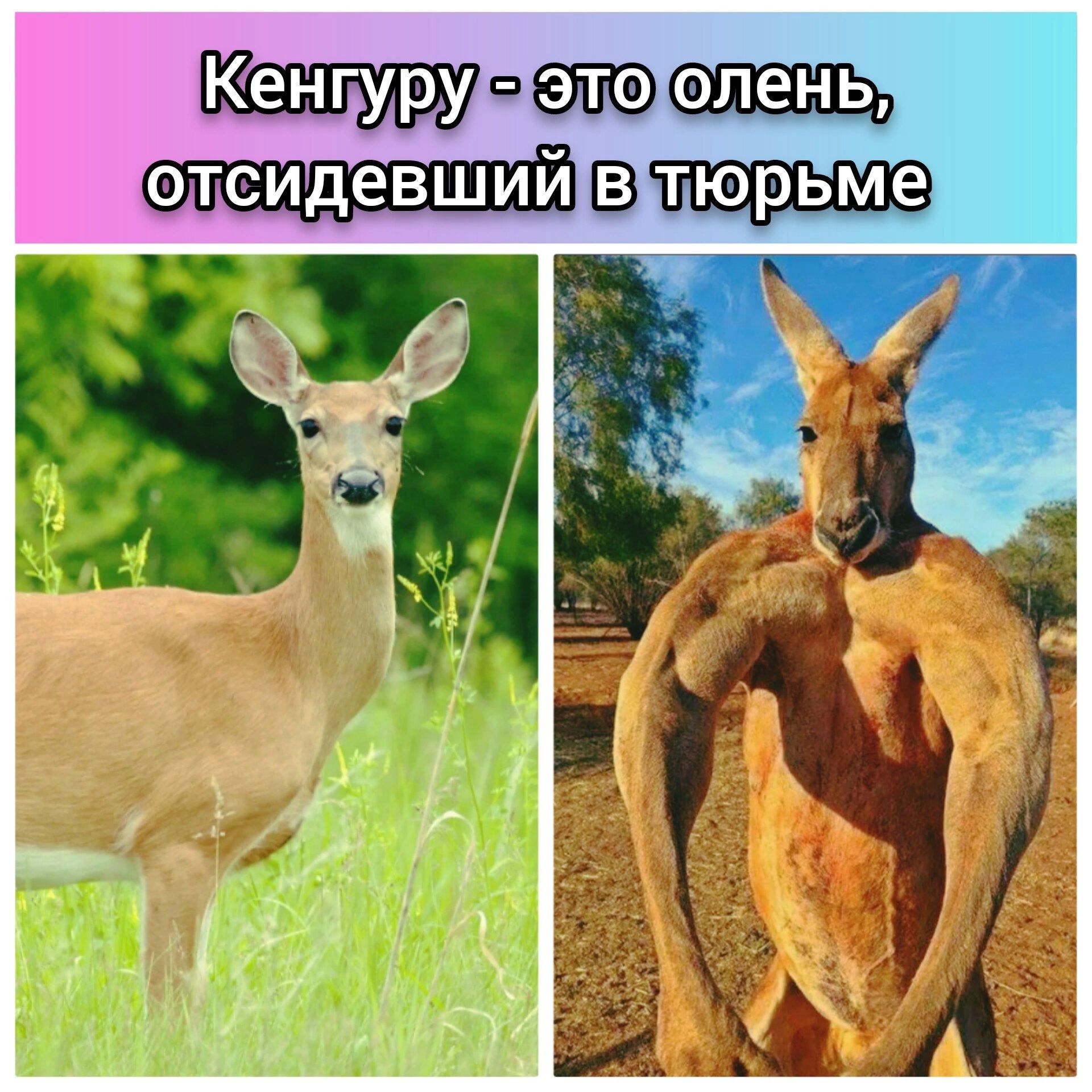 Ъ пв_