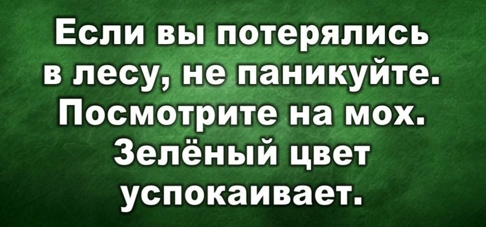 Если вь еряпись в лесу іпаникуйте Посмотрите на мох Зелёный цвет успокаивает