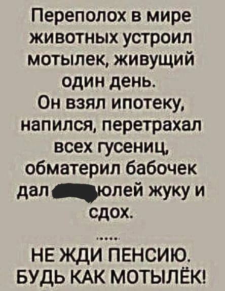 Переполох в мире животных устроил мотылек живущий один день Он взял ипотеку напился перетрахал всех гусениц обматерил бабочек НЕ ЖДИ ПЕНСИЮ БУДЬ КАК МОТЫЛЁК