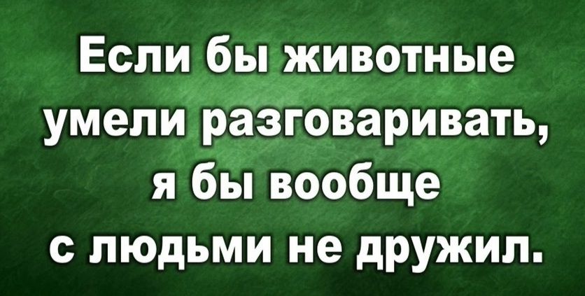 Еспий бы животные умели разговаривать я бы вообще с людьми не дружил