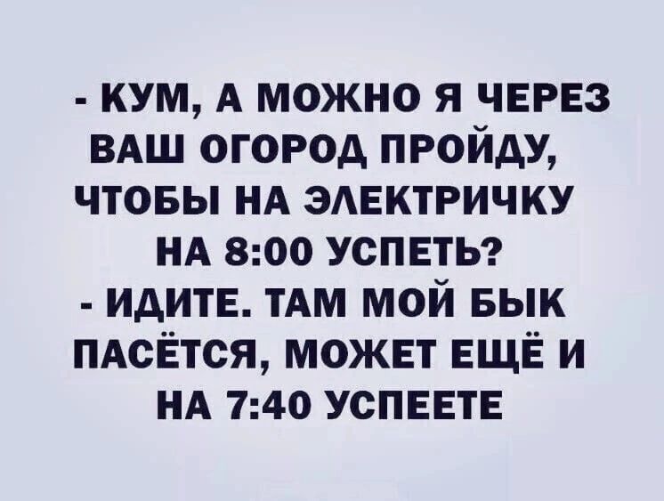 кум А можно я ЧЕРЕЗ вАш огород пройду чтовы НА ЗАЕКТРИЧКУ НА 800 УСПЕТЬ идитЕ тАм мой Бык ПАсЁтся можп ЕЩЁ и НА 740 усПЕЕтЕ