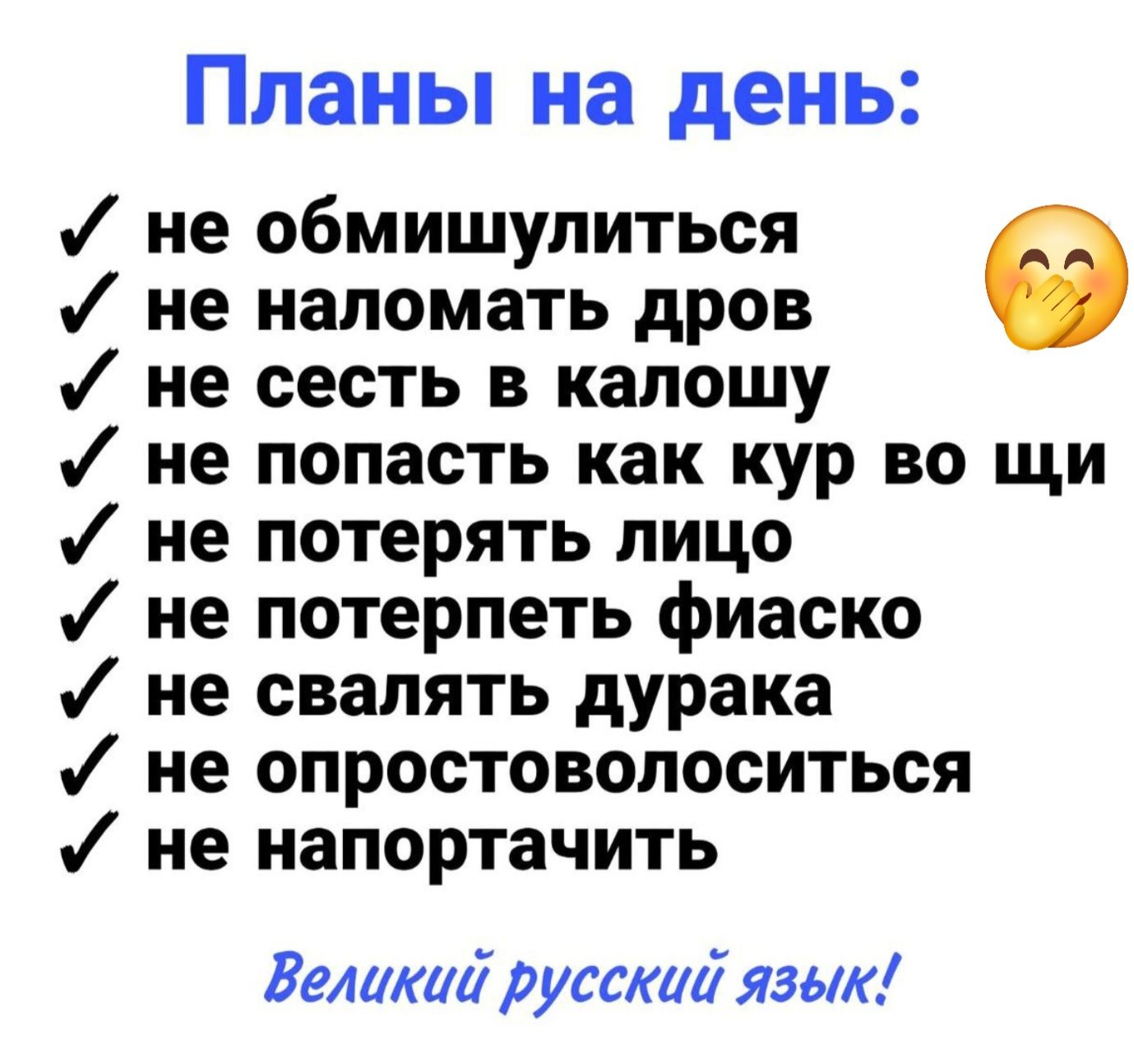 Планы на день не обмишулиться не наломать дров не сесть в калошу не попасть как кур во щи не потерять лицо не потерпеть фиаско не свалять дурака не опростоволоситься не напортачить Великиіруссиі язык