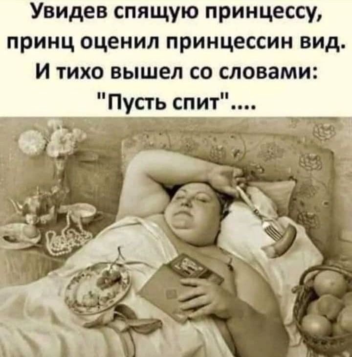 Увидев спящую принцессу принц оценил принцессин вид И тихо вышел со словами Пусть спит