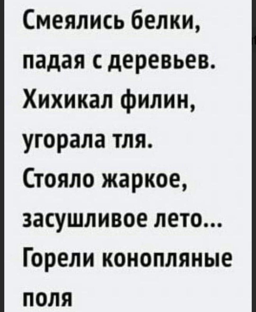 Смеялись белки падая деревьев Хихикал филин угорала тля Стояло жаркое засушливое лето Горели конопляные поля