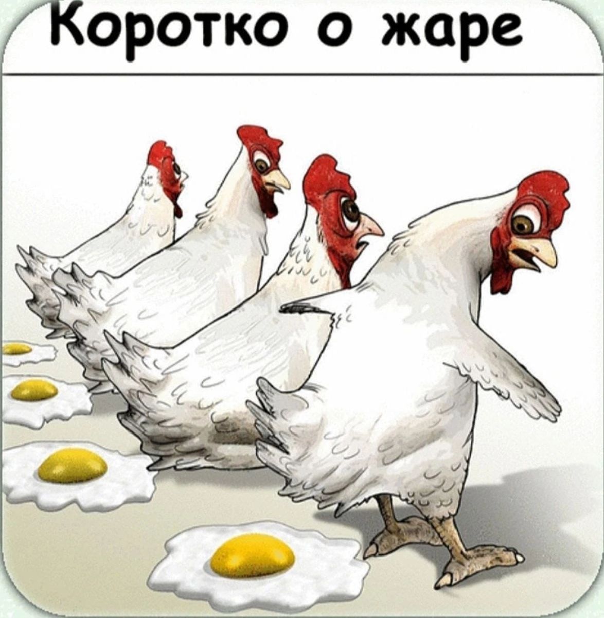 оротко о жаре