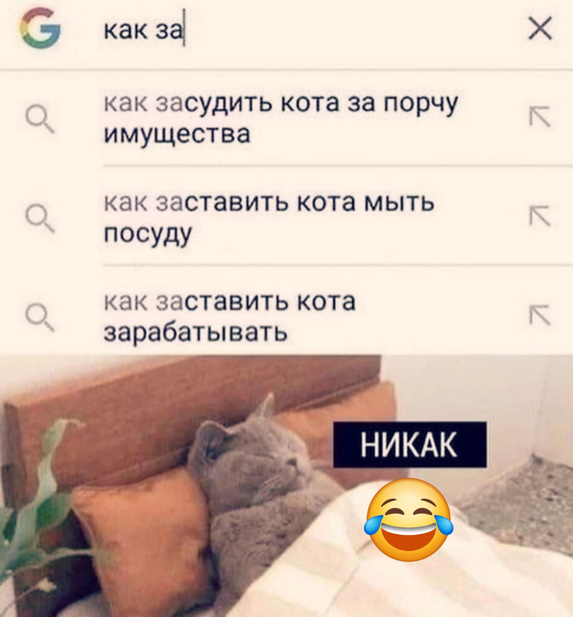 как за Х как засудить кота за порчу имущества КВК ЗЗСТЗВИТЬ кота МЫТЬ посуду как заставить кота зарабатывать