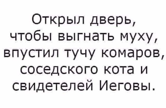 Открыл дверь чтобы выгнать муху впустил тучу комаров соседского кота и свидетелей Иеговы