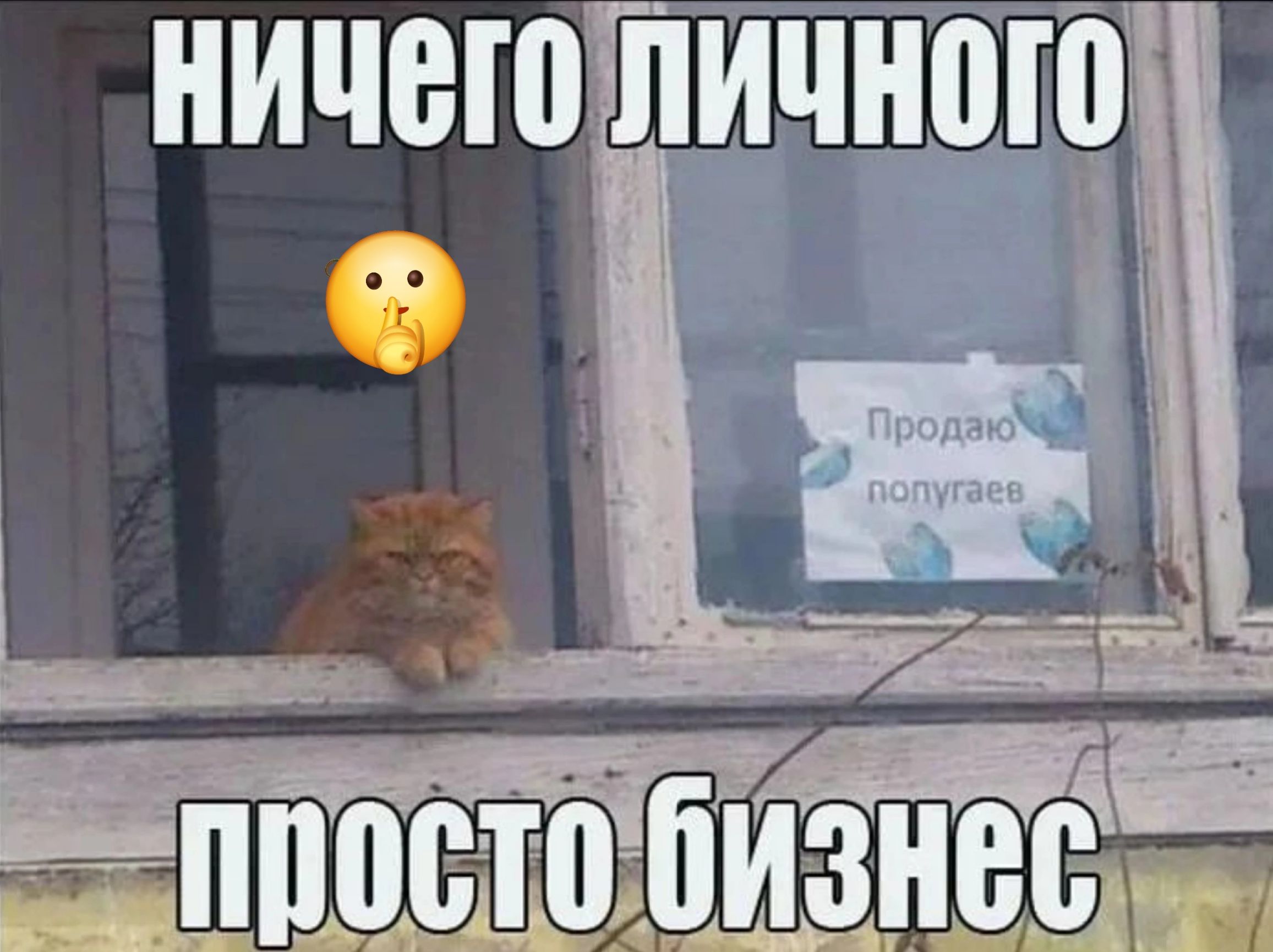 гипоттц_бит_ напев