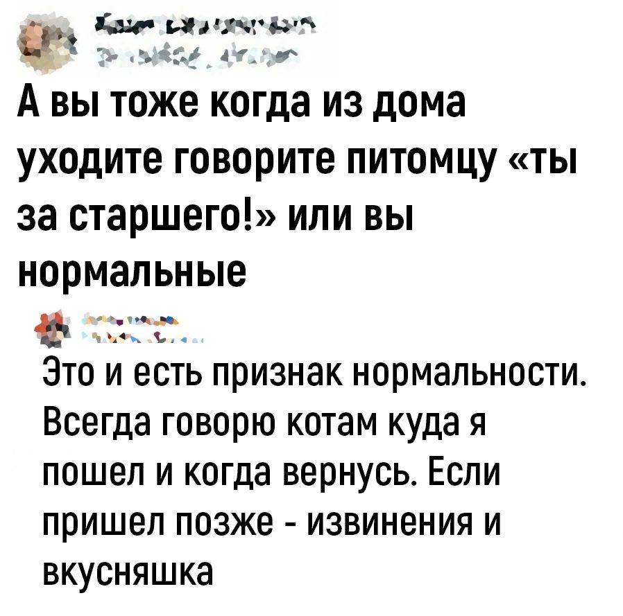 гта е илхч д пю А вы тоже когда из дома уходите говорите питомцу ты за старшего или вы нормальные 11 Это и есть признак нормальности Всегда говорю котам куда я пошел и когда вернусь Если пришел позже извинения и вкусняшка