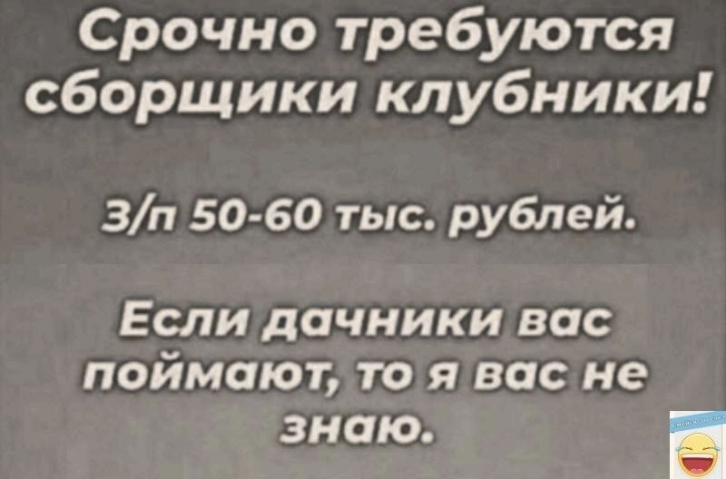 Срочно требуются сборщики клубники зп 50 60 тыс рублей ЕСЛИ дачники ВПС ПОЙМОЮТ ТО Я вас не знаю