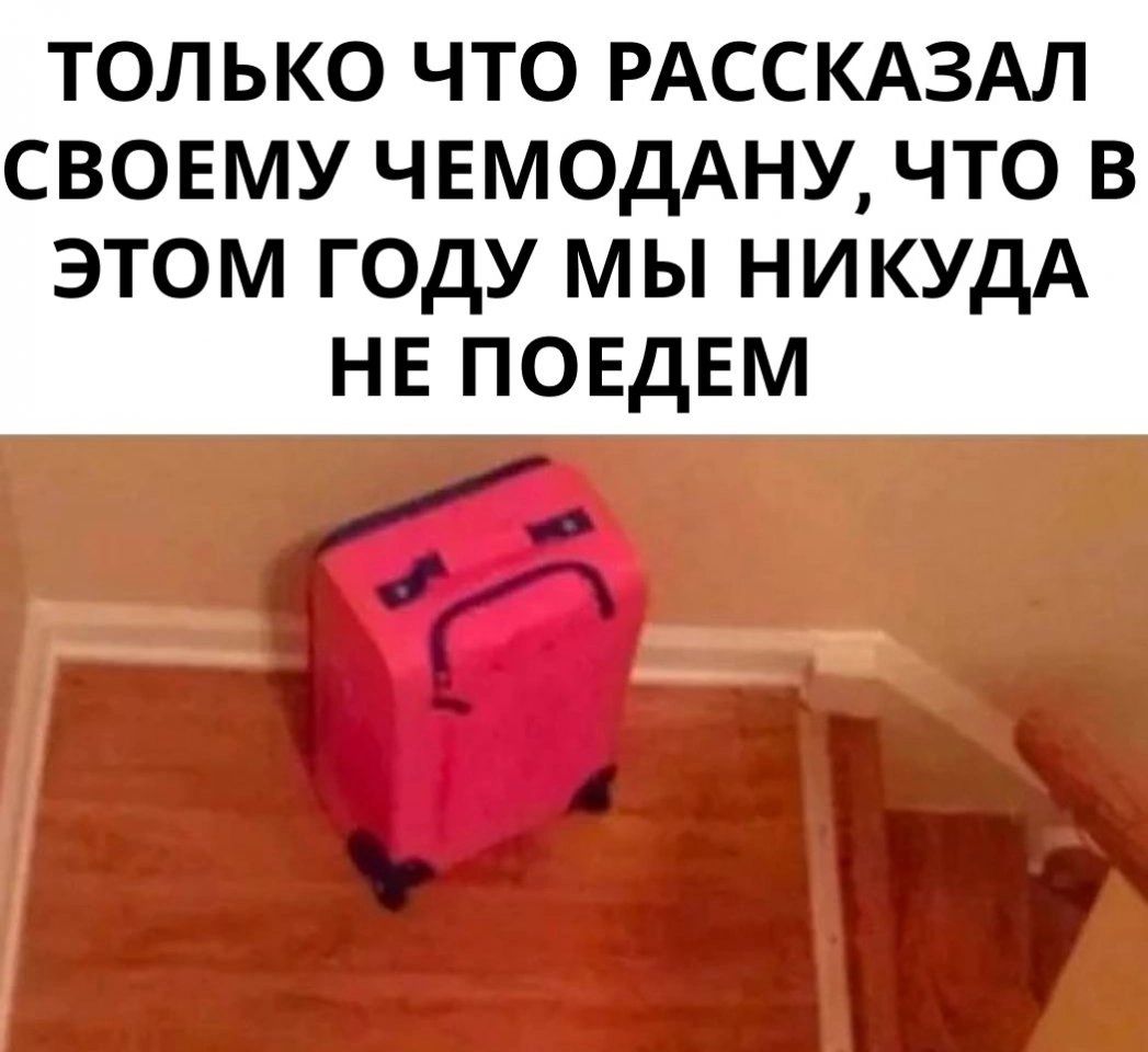 ТОЛЬКО ЧТО РАССКАЗАЛ СВОЕМУ ЧЕМОДАНУ ЧТО В ЭТОМ ГОДУ МЫ НИКУДА НЕ ПОЕДЕМ