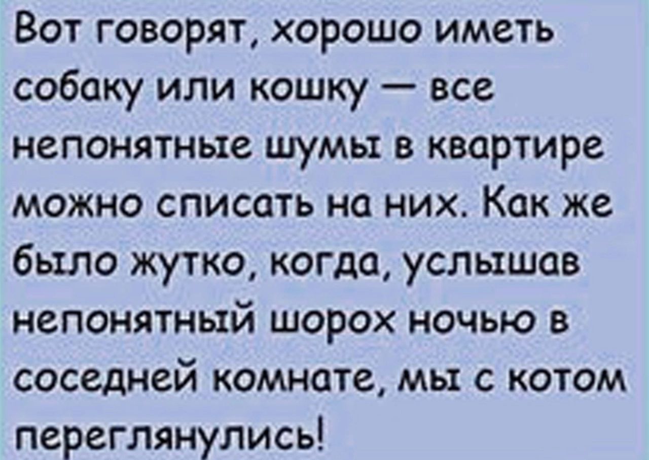 Вот говорят хорошо иметь собаку или кошку все непонятные шумы в квартире можно списать на них_ Как же было жутко когда услышав непонятный шорох ночью в соседней комнате мы с котом переглянулись