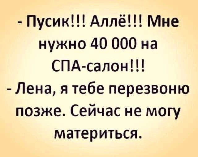 Пусик Аллё Мне нужно 40 000 на СПА салон Лена я тебе перезвоню позже Сейчас не могу материться