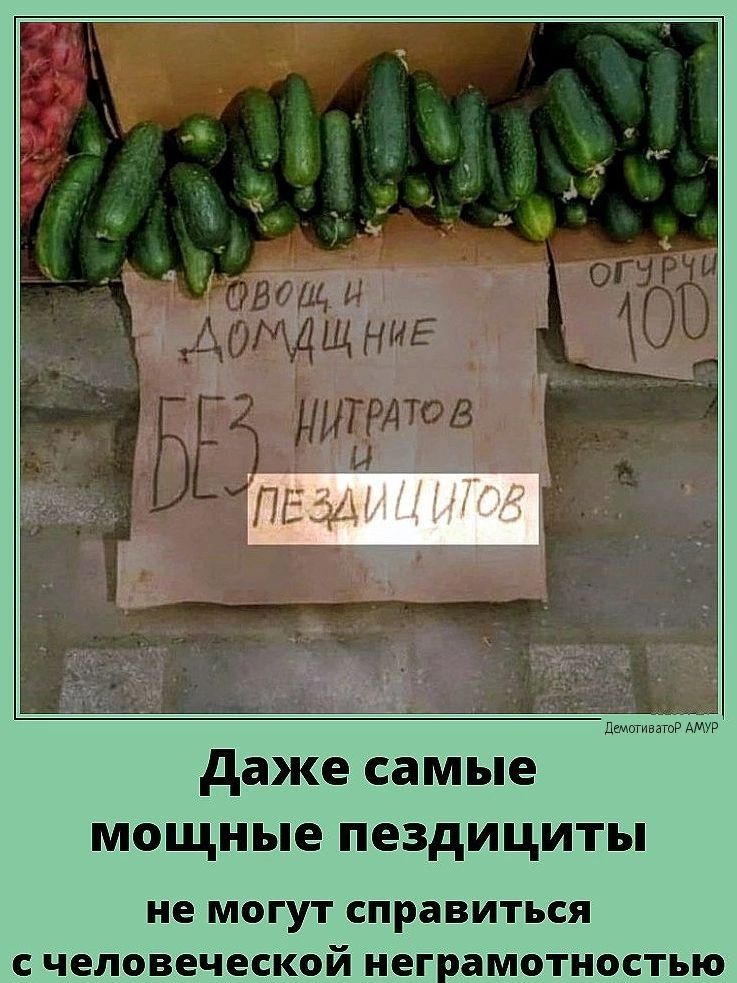 Даже самые мощные пездициты не могут справиться счеловеческой неграмотностью