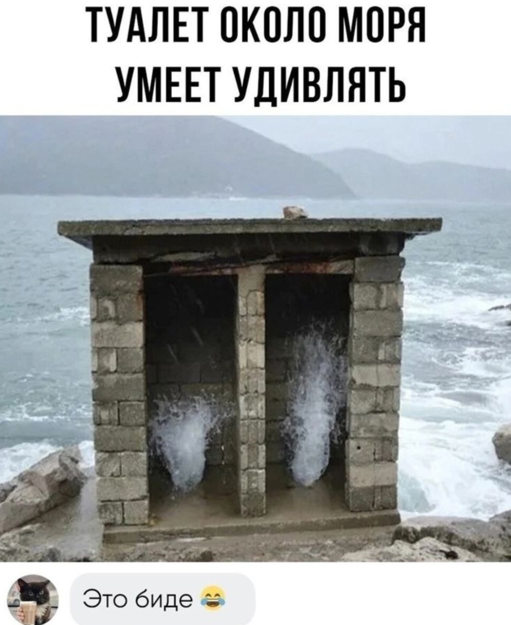 ТУАЛЕТ ОКОЛО МОРЯ УМЕЕТ УДИВЛЯТЬ