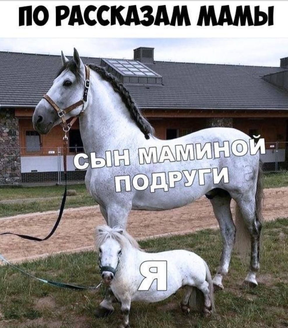 ПО РАССКАЗАМ МАМЫ