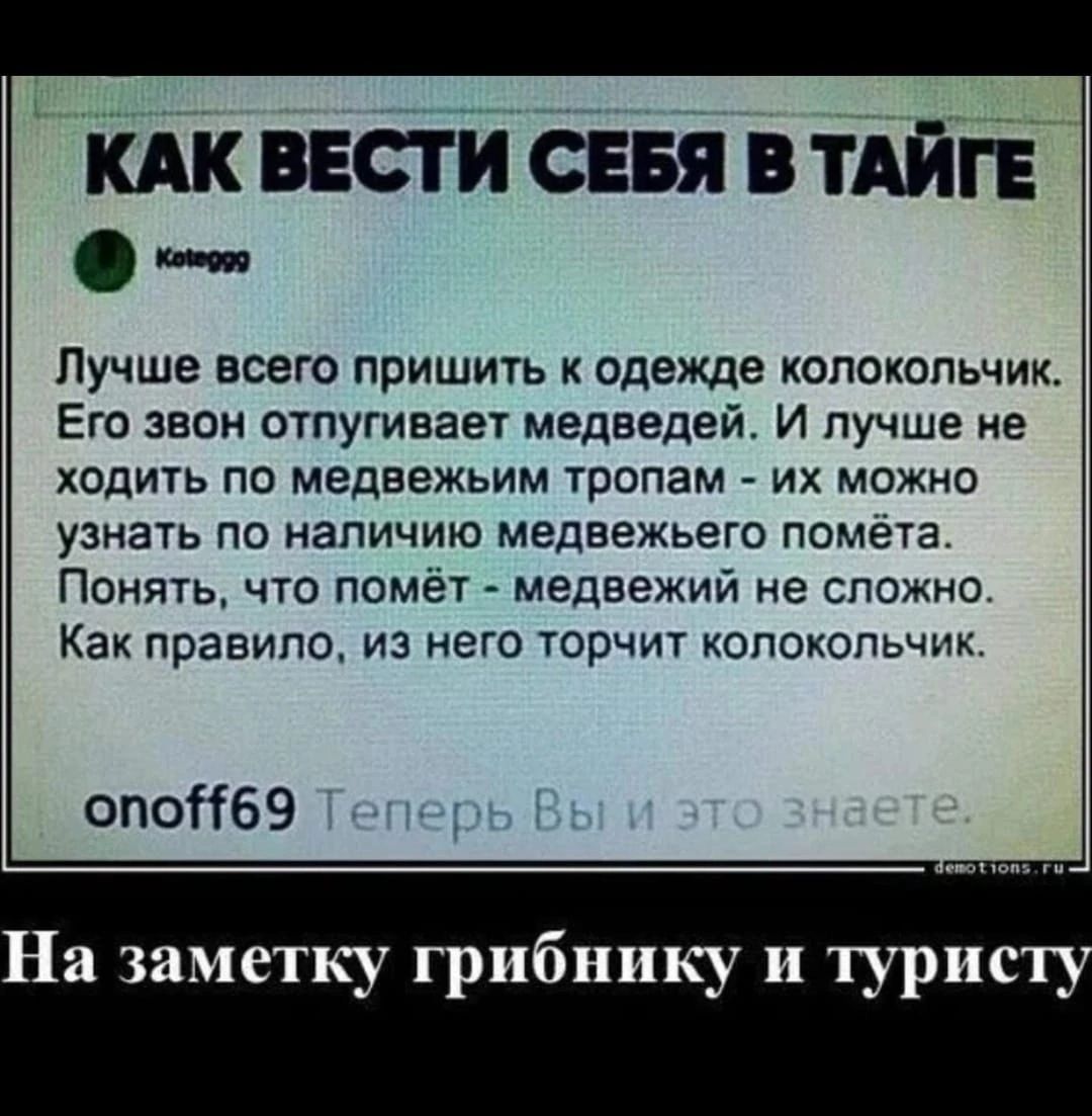 КАК ВЕСТИ СЕБЯ В ТАЙГЕ кер Лучше всего пришить к одежде колокольчик Его звон отпугивает медведей И лучше не ходить по медвежьим тропам их можно узнать по наличию медвежьего помета Понять что помёт медвежий не сложно Как правило из него торчит колокольчик опо69 На заметку грибнику и турис