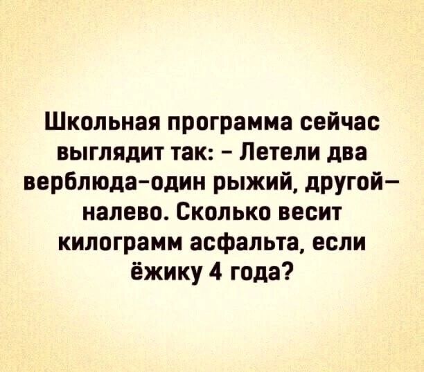 Школьная программа сейчас выглядит так Летели два верблюда один рыжий другой налево Сколько весит килограмм асфальта если ёжику 4 года