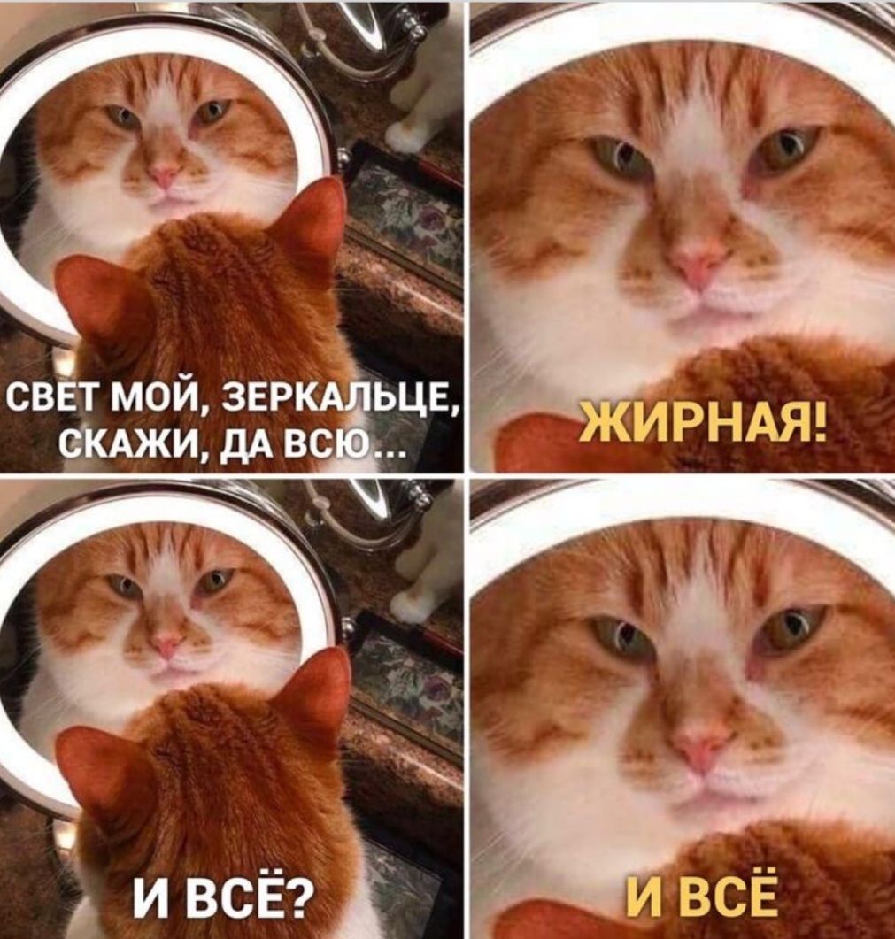 свп МОЙ ЗЕР СКАЖИ ДА В