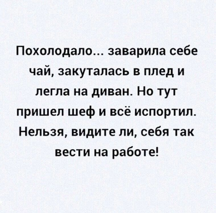 Похолодало заварила себе чай закуталась в плед и легла на диван Но тут пришел шеф и всё испортил Нельзя видите ли себя так вести на работе