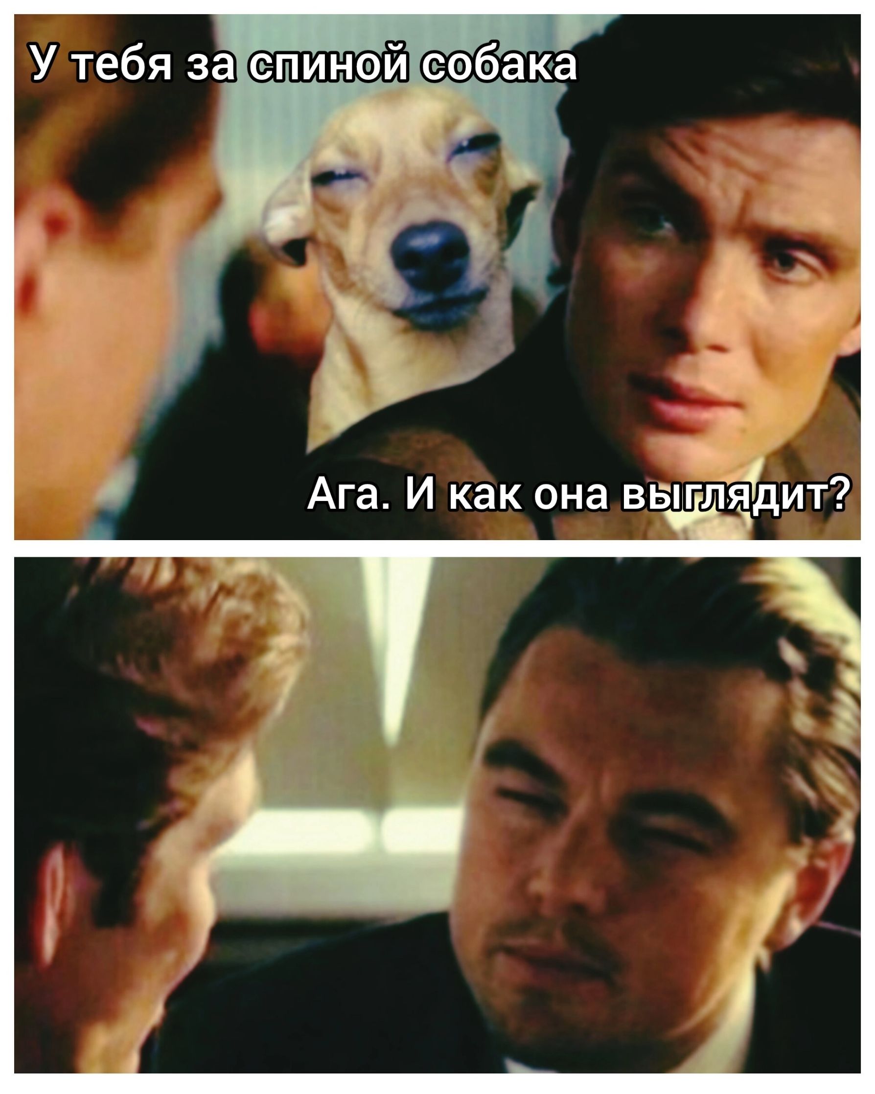 Утебя за