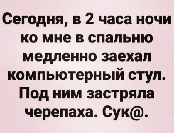 Сегодня в 2 часа ночи ко мне в спальню медленно заехал компьютерный стул Под ним застряла черепаха Сук