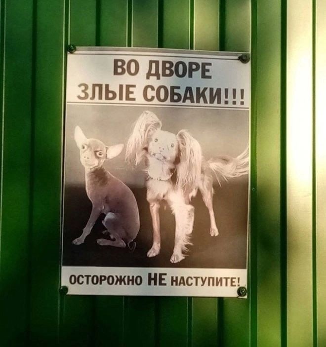 ОСТОРОЖНО НЕ нАстУПИТЕ