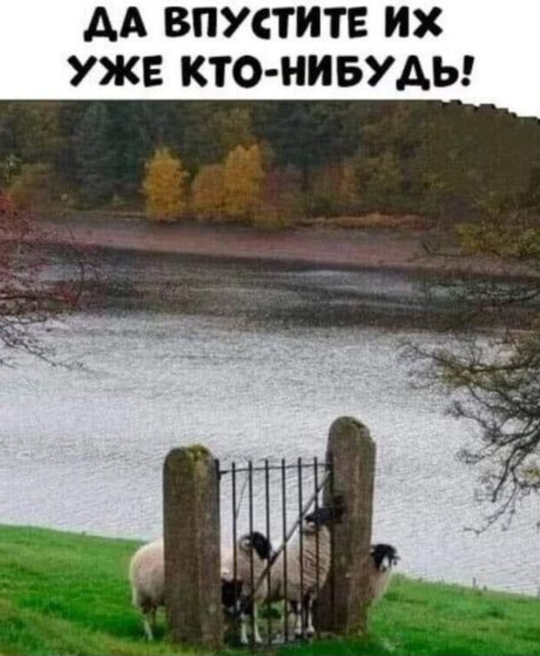 ДА ВПУСТИТЕ ИХ УЖЕ КТО НИБУДЬ