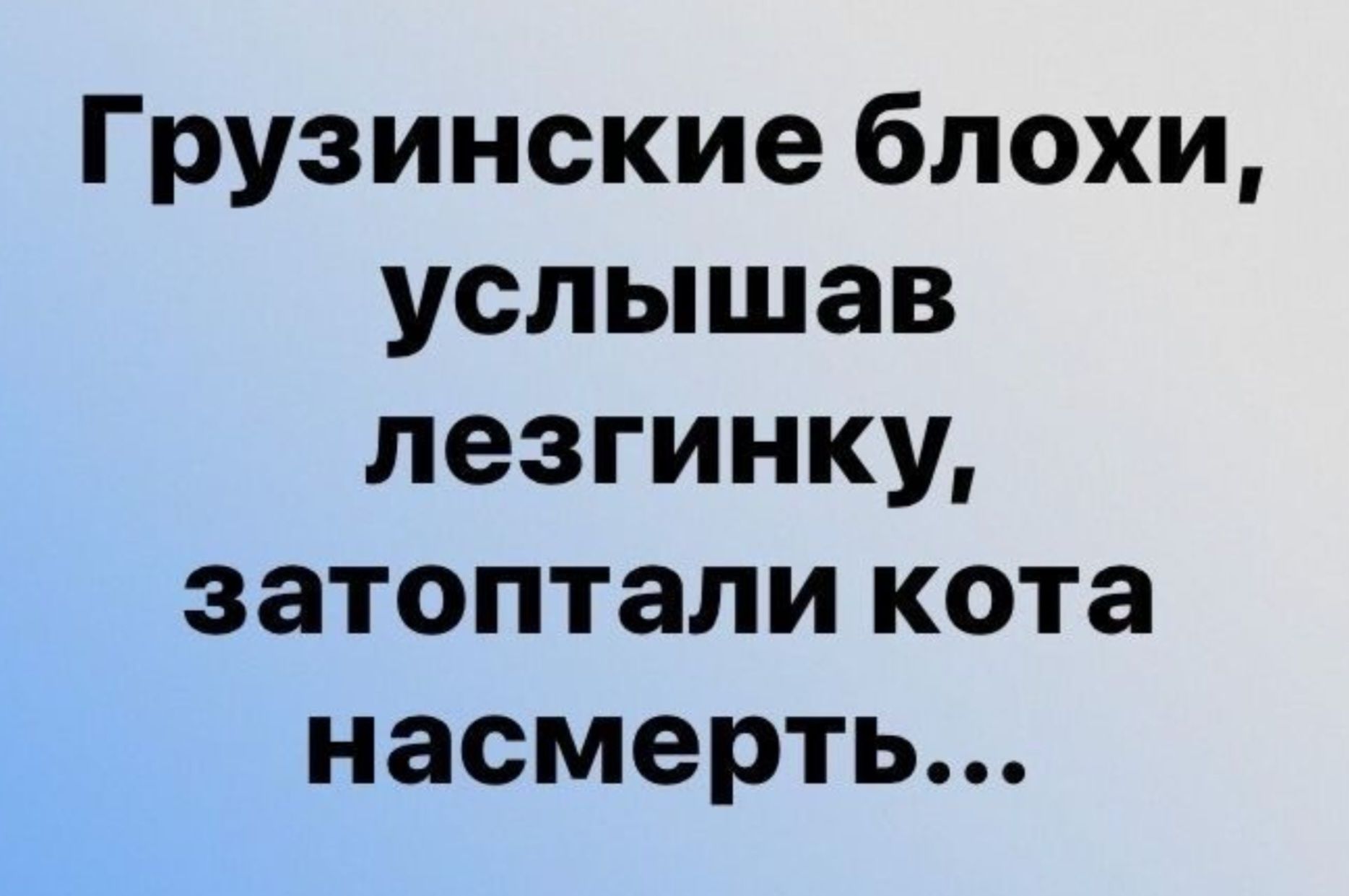 Грузинские блохи услышав лезгинку затоптали кота насмерть