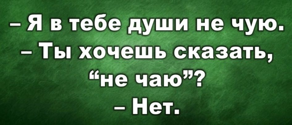 Я втебе души не чую Ты хочешь сказать не чаю Нет