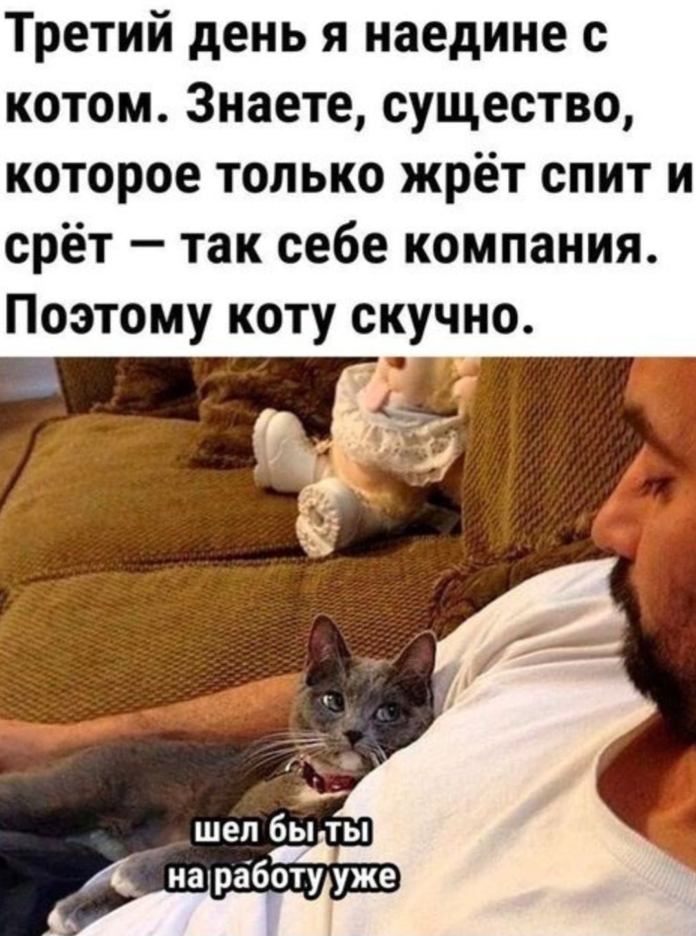 Третий день я наедине с котом Знаете существо которое только жрёт спит и срёт так себе компания Поэтому коту скучно