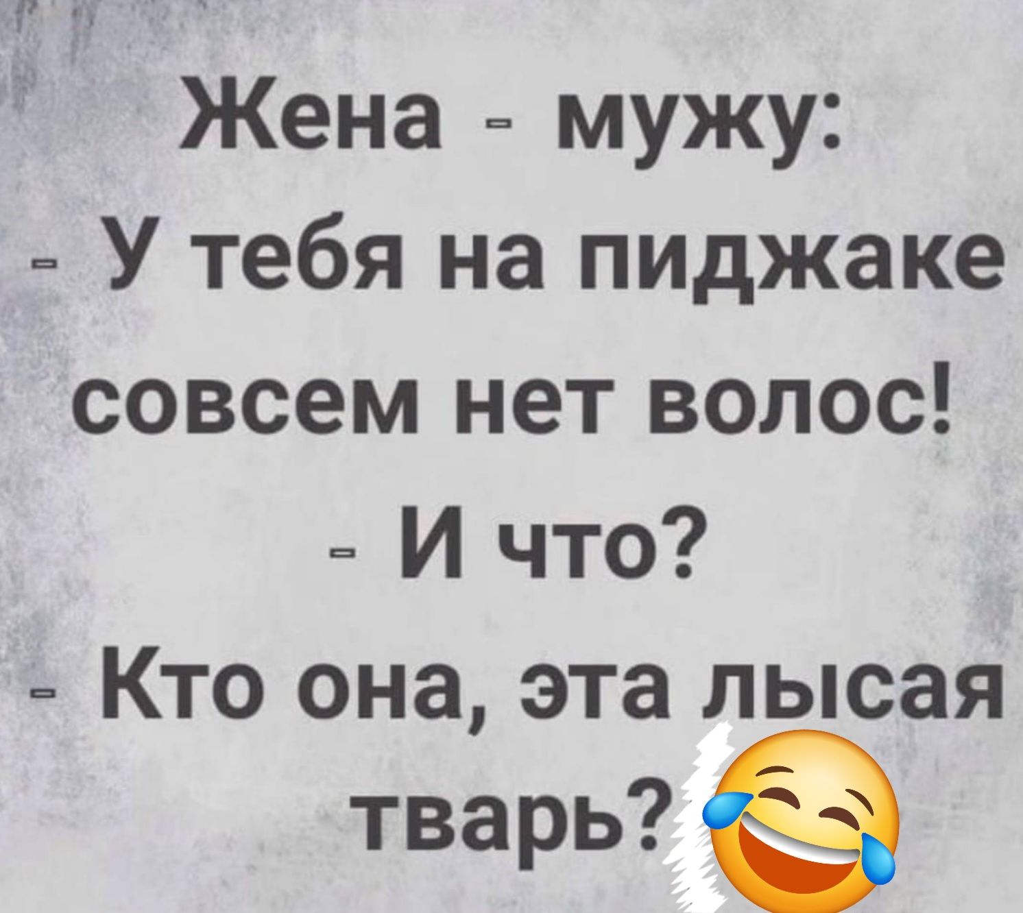 ВЫа оя Жена мужу У тебя на пиджаке совсем нет волос И что Кто она эта лысая тварь