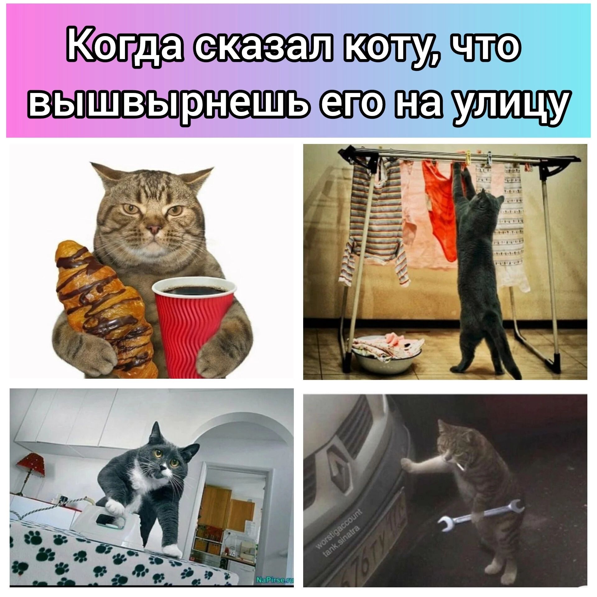 Котдатсказатколудчто