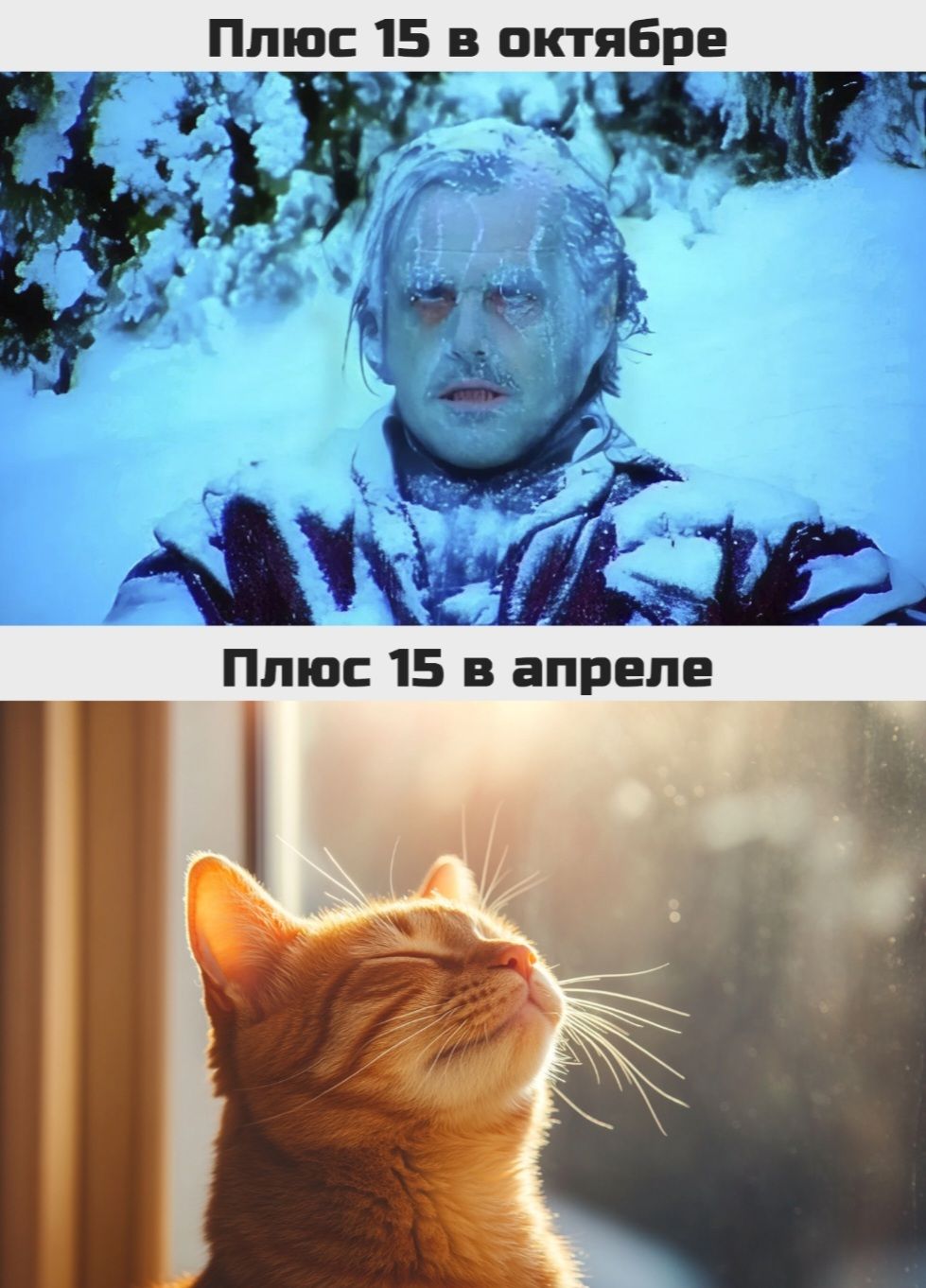 Ппюс 15 в октябре