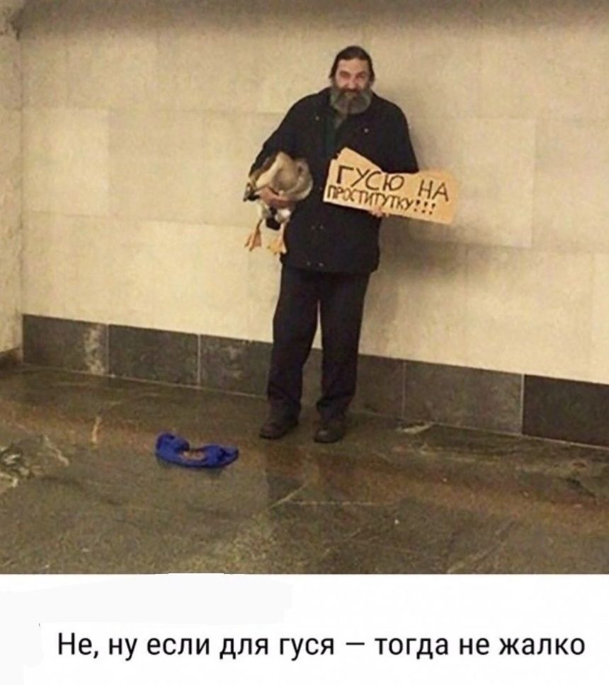 Не ну если для гуся тогда не жалко