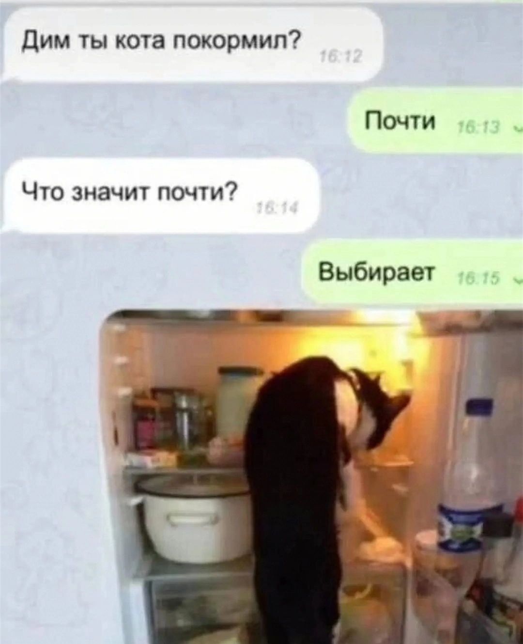Дим ты кота покормил Почти Что значит почти Выбирает