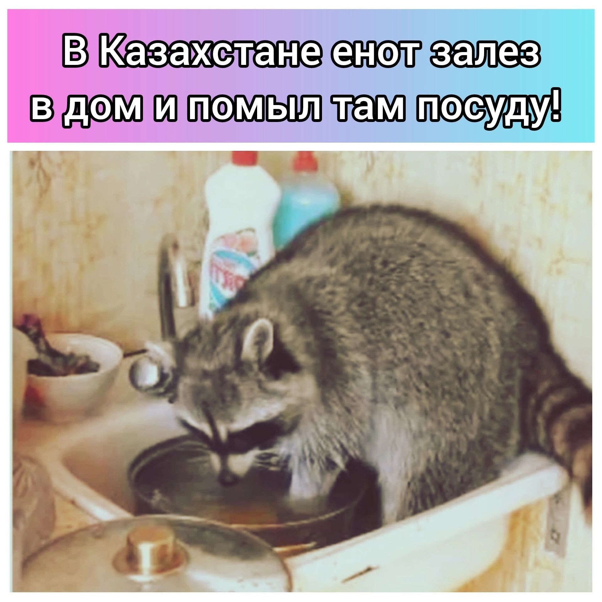 Казахслане за В десо 0 ТЕСО 0