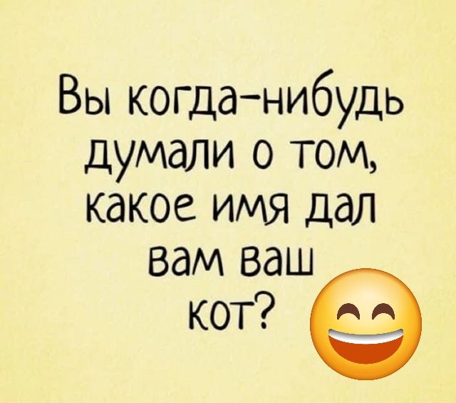 Вы когда нибудь думали о том какое имя дал вам ваш кот