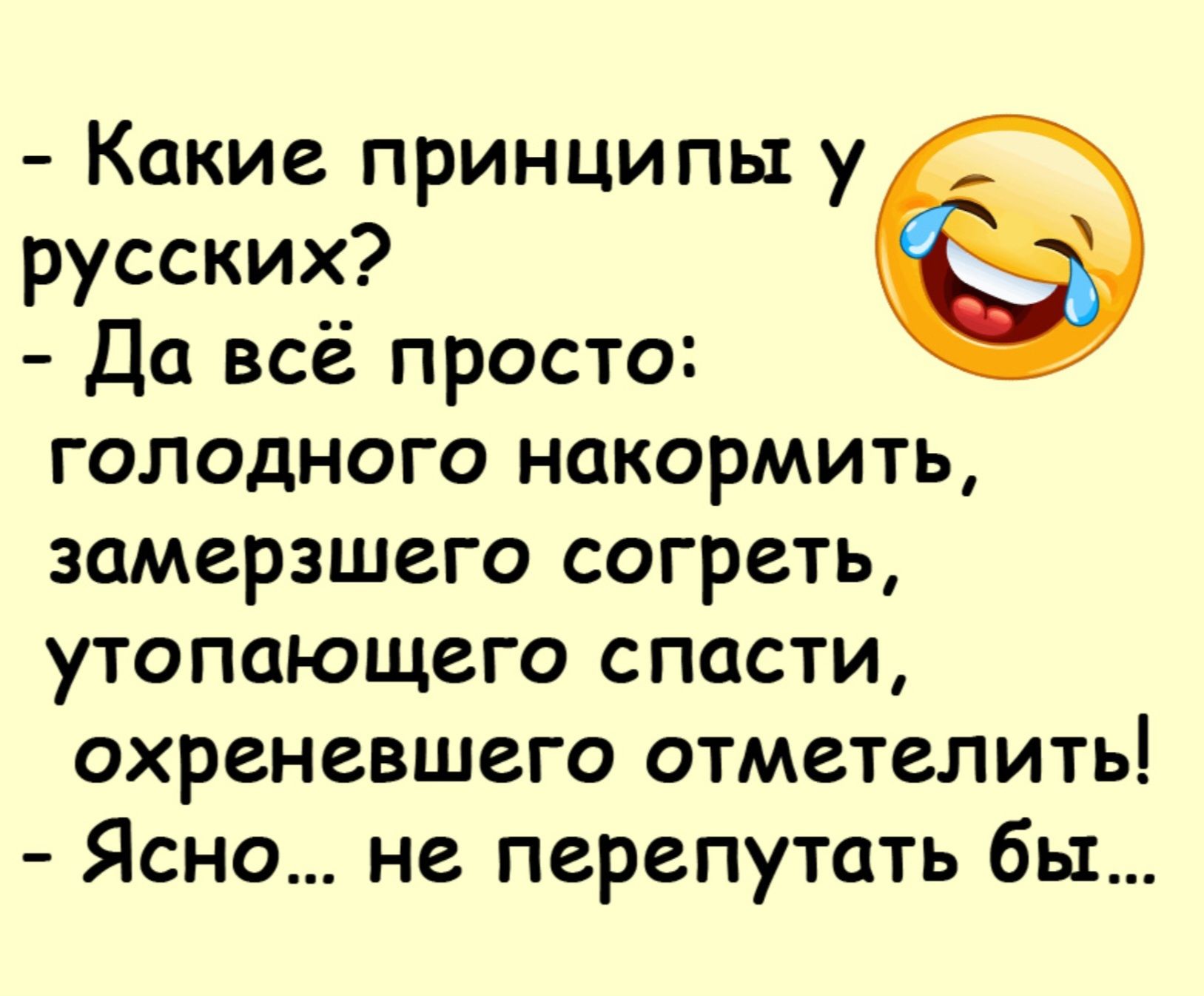 Какие принципы у русских Да всё просто голодного накормить замерзшего согреть утопающего спасти охреневшего отметелить Ясно не перепутать бы