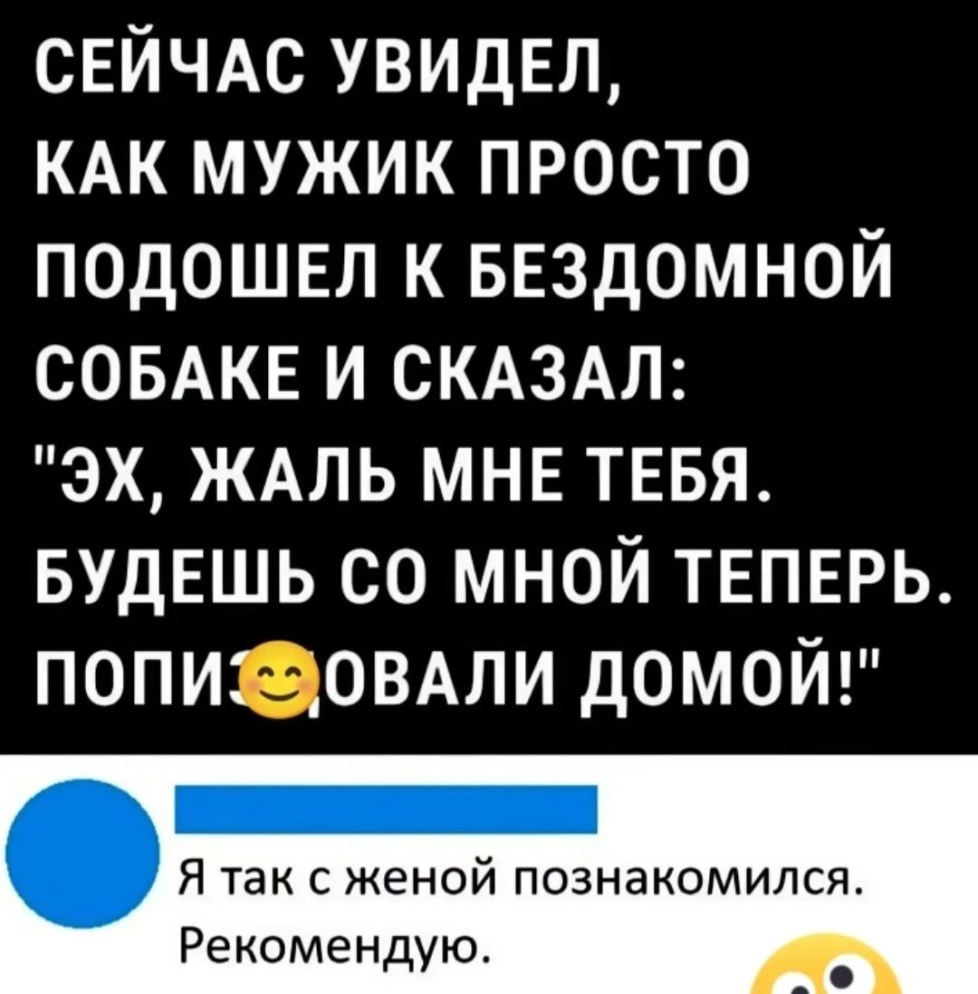 СЕЙЧАС УВИДЕЛ КАК МУЖИК ПРОСТО ПОДОШЕЛ К БЕЗДОМНОЙ СОБАКЕ И СКАЗАЛ ЭХ ЖАЛЬ МНЕ ТЕБЯ БУДЕШЬ СО МНОЙ ТЕПЕРЬ ПОПИФ ОВАЛИ ДОМОЙ Я так с женой познакомился Рекомендую