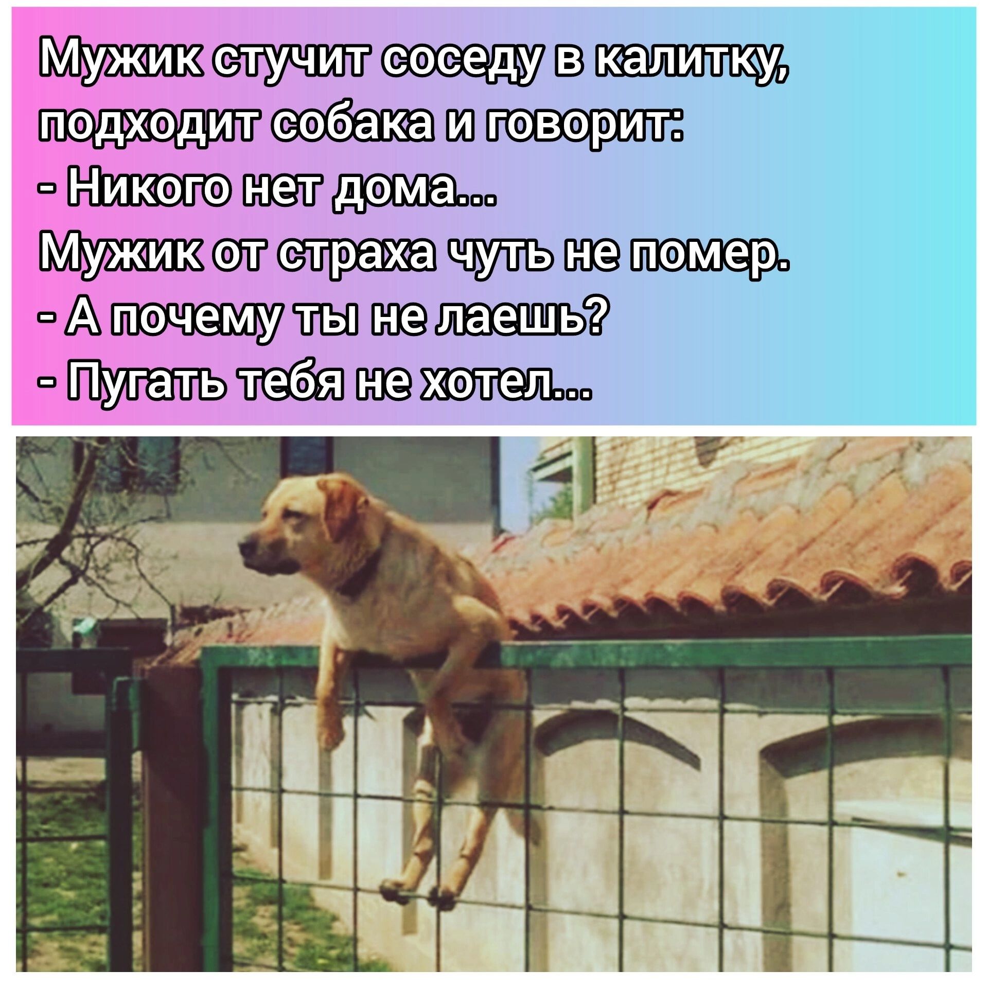 случитсоседудвкалищкуя УДХОДИЦ И