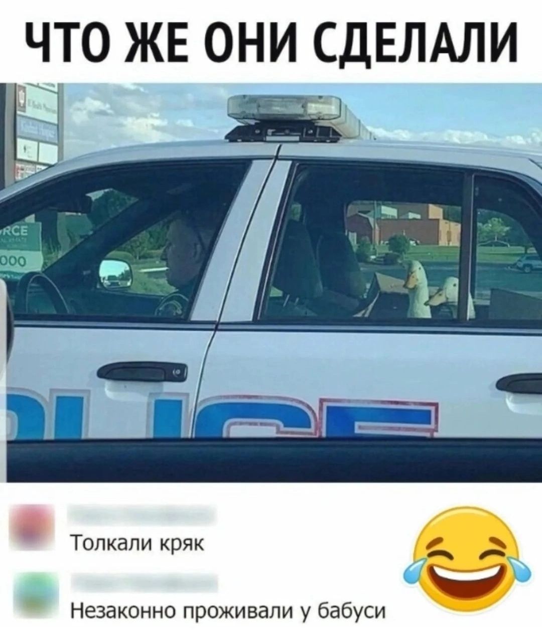 ЧТО ЖЕ ОНИ СДЕЛАЛИ нныкт Е оо