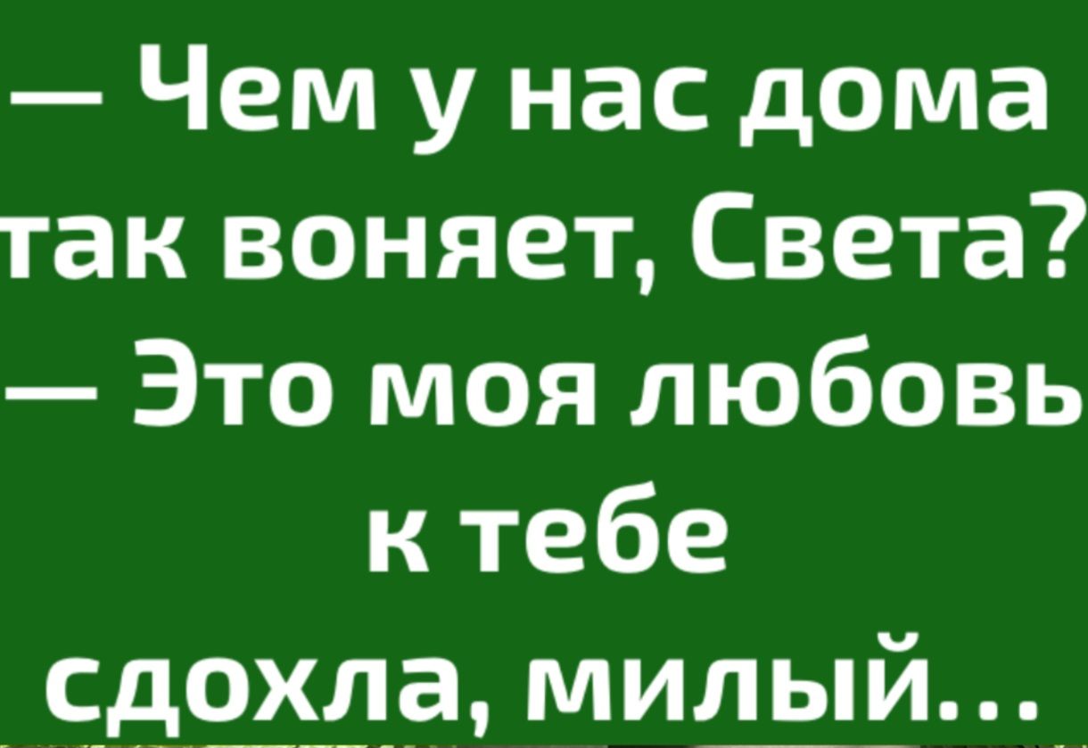 Чем у нас дома так воняет Света Это моя любовь к тебе сдохла милый