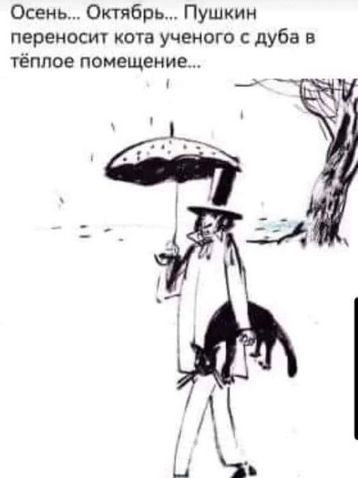Осень Октябрь Пушкин переносит кота ученого с дуба в тёплое помещение