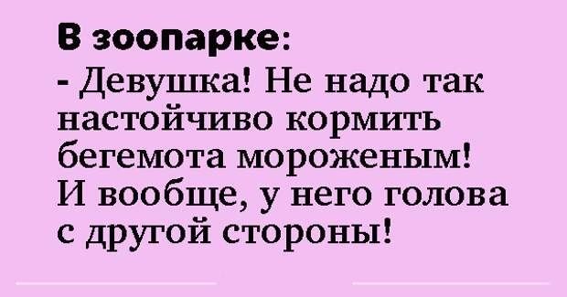 В зоопарке Девушка Не надо так настойчиво кормить бегемота мороженым И вообще у него голова с другой стороны