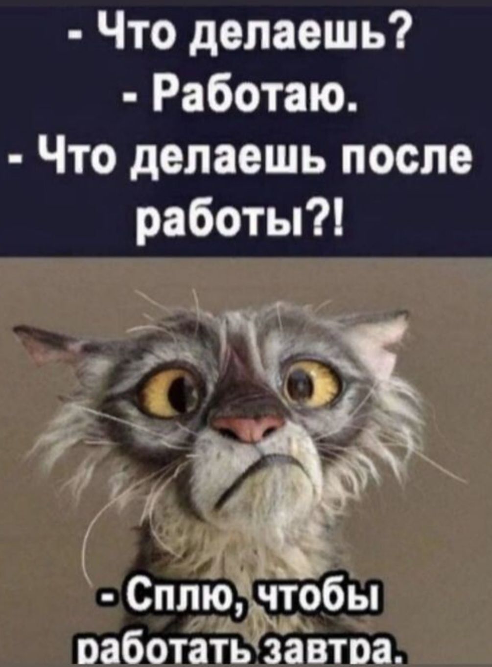 Что делаешь Работаю Что делаешь после работы А й Г нь Сппю чтобы оаботать завтра