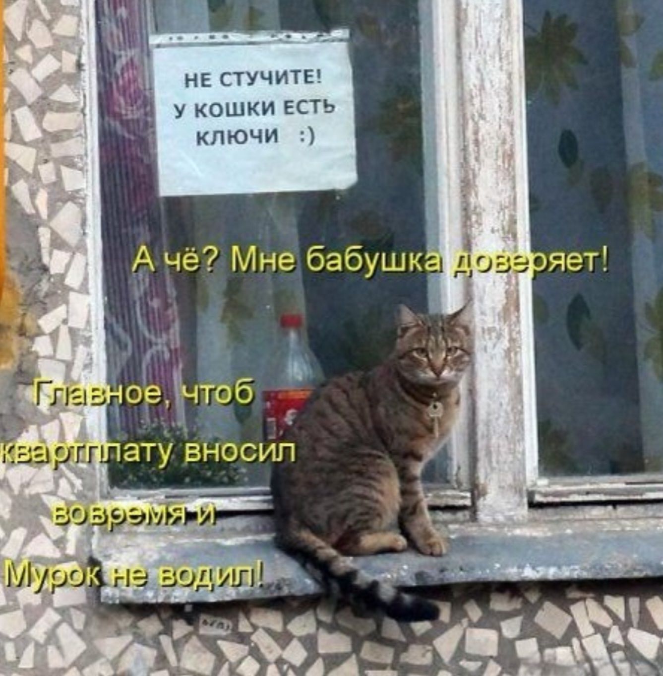 НЕ СТУЧИТЕ У КОШКИ ЕСТЬ ключи